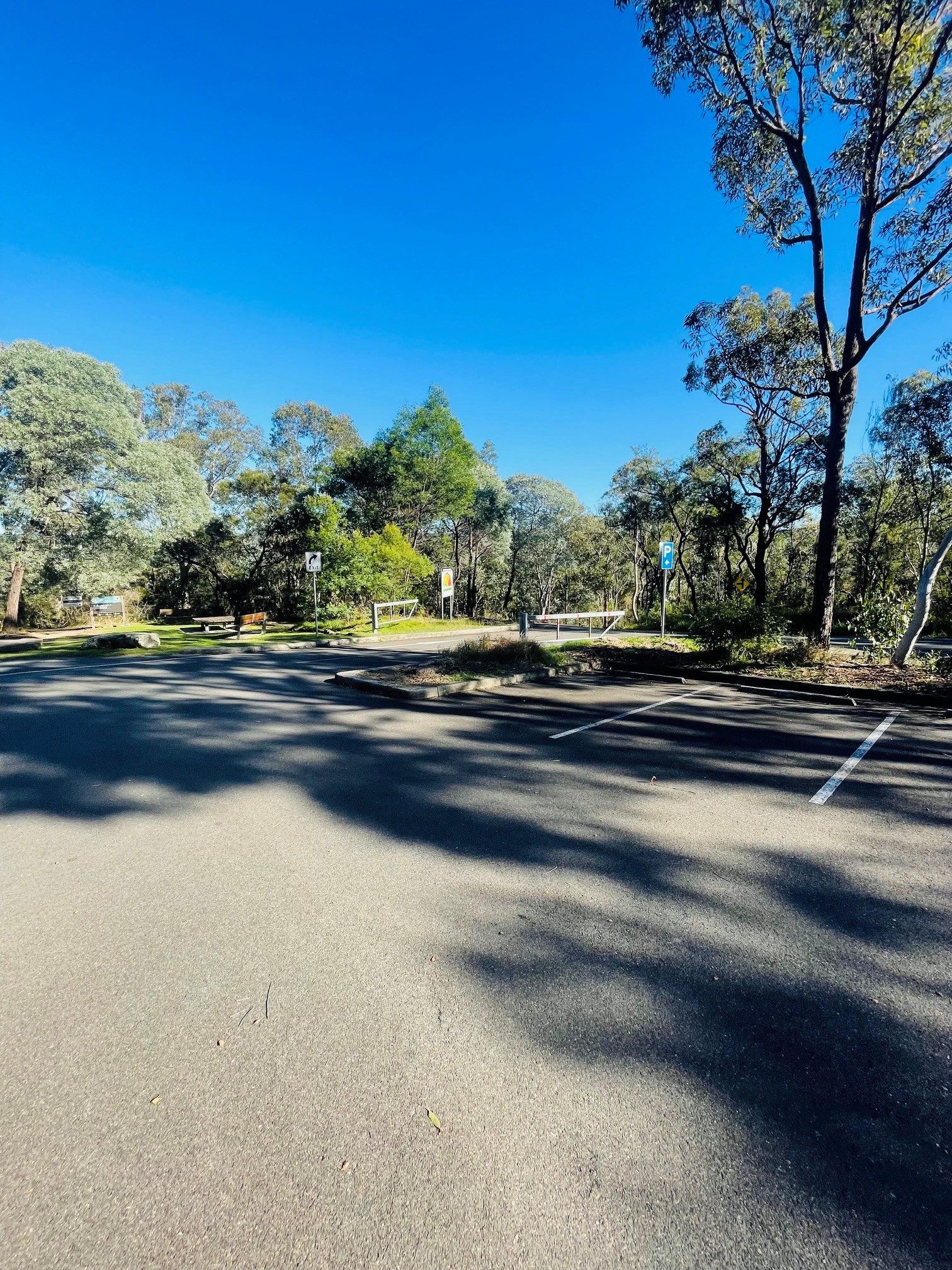 Glenbrook Trail Run